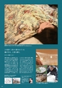 すろーかる2015年5月号