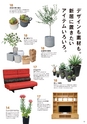 すろーかる2018年5月号