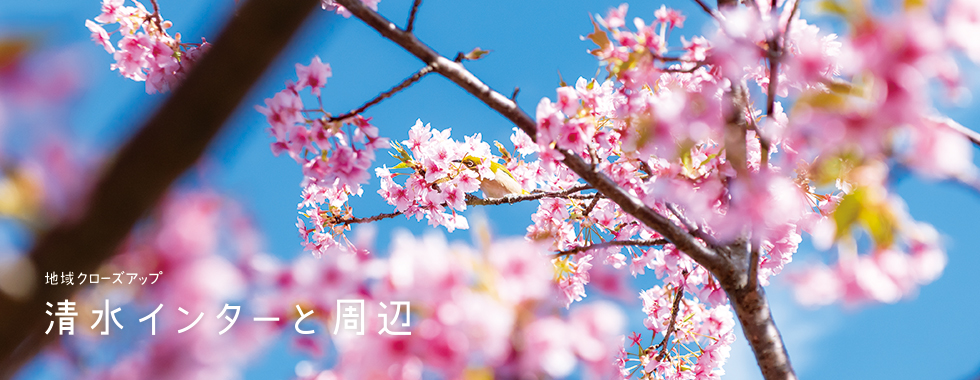 地域 呉服町